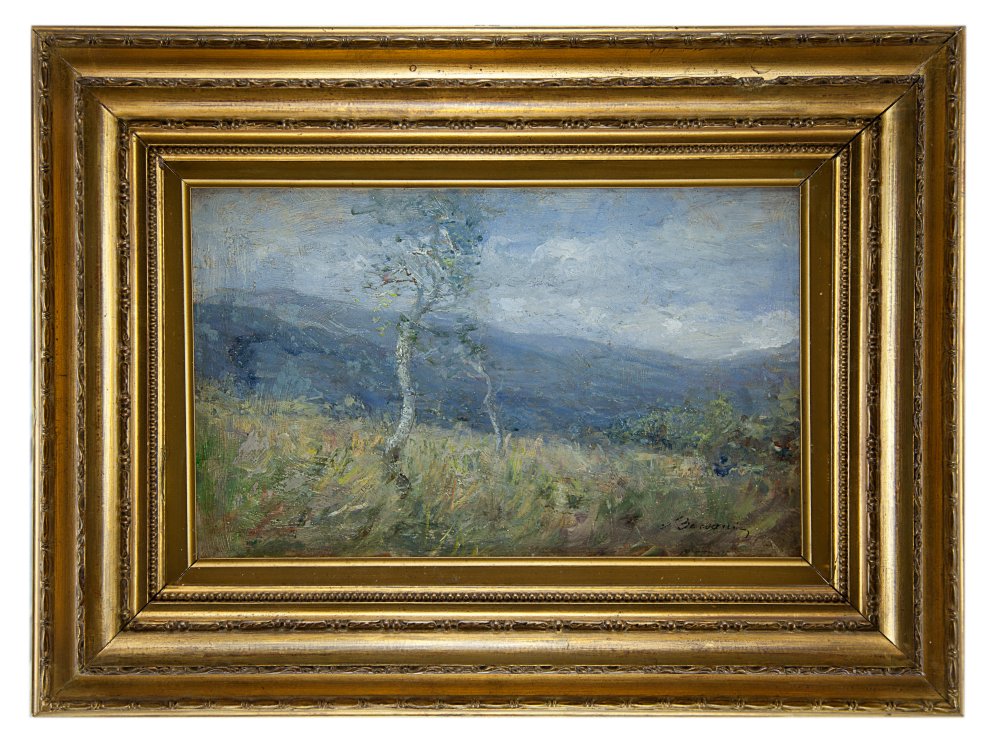 stefano bersani: Paesaggio montano